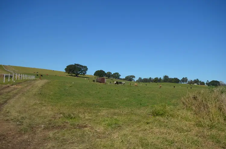 Seventh view of Homely rural property listing, 260 Backmede Road, Backmede NSW 2470