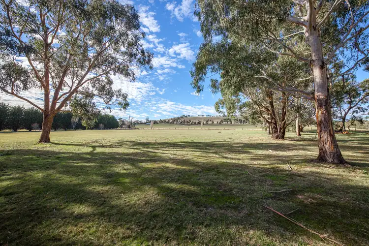 Second view of Homely rural property listing, 65 Halpern Road, Bullengarook VIC 3437