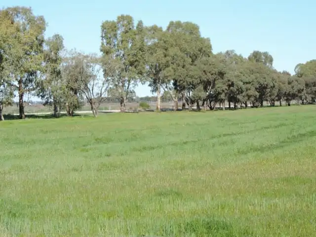 13 McPhail Road, Kerang VIC 3579