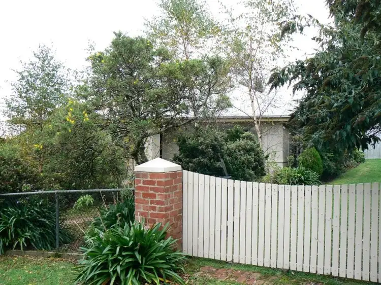 67 Main Road, Beech Forest VIC 3237