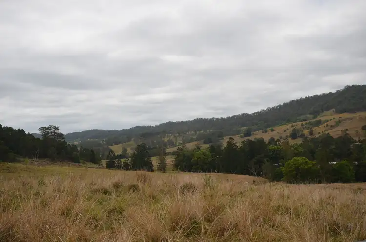 Third view of Homely rural property listing, 977 Jiggi Road, Jiggi NSW 2480