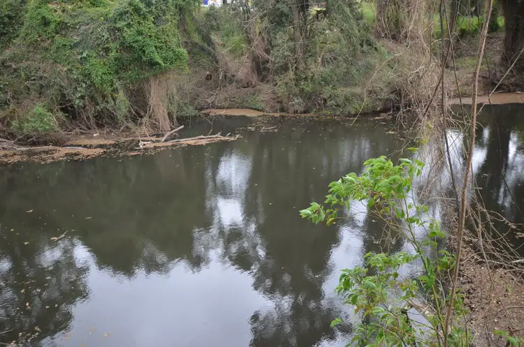 Fourth view of Homely rural property listing, 977 Jiggi Road, Jiggi NSW 2480