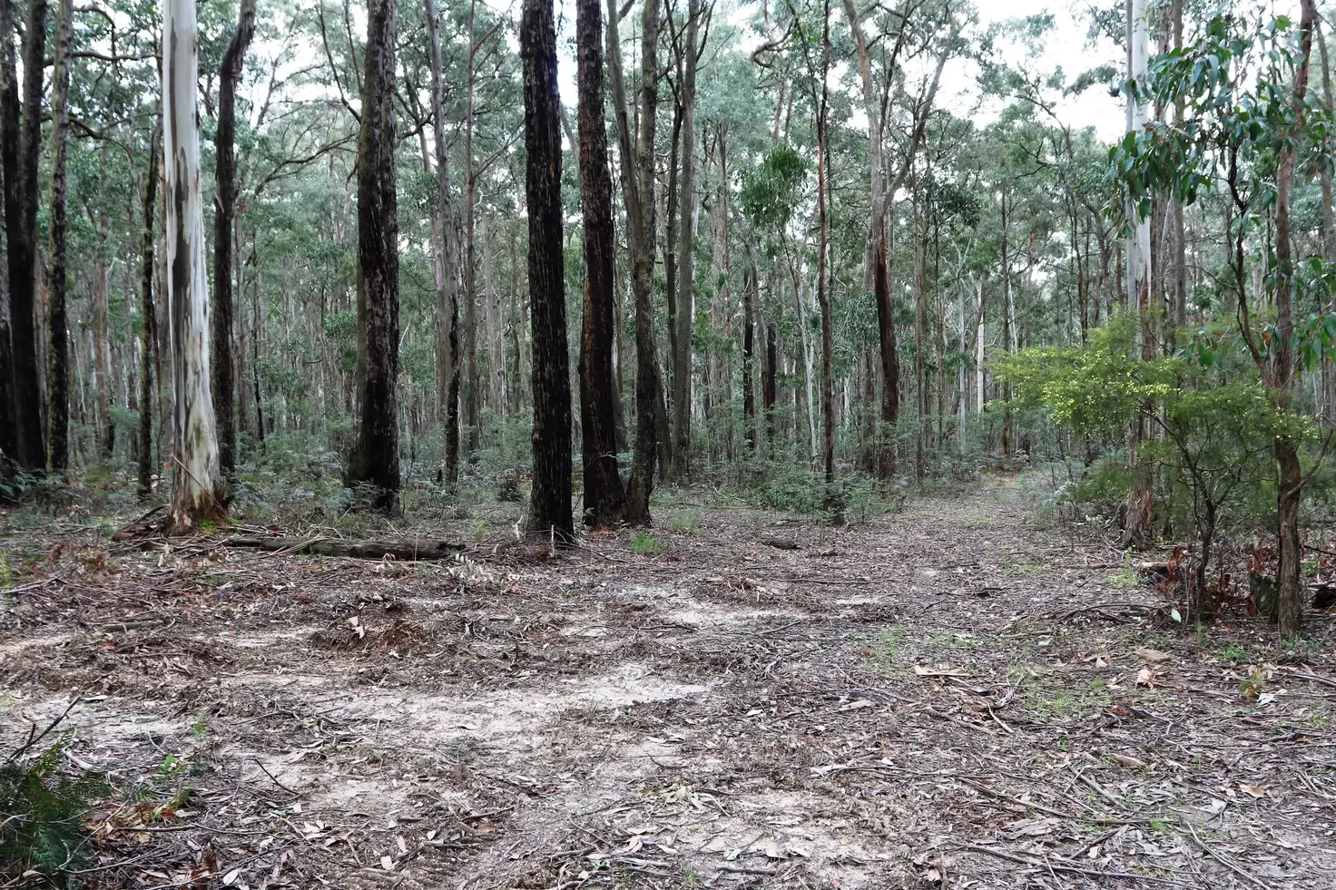 Main view of Homely land listing, Lot 1 Keyes Road, Woodend VIC 3442