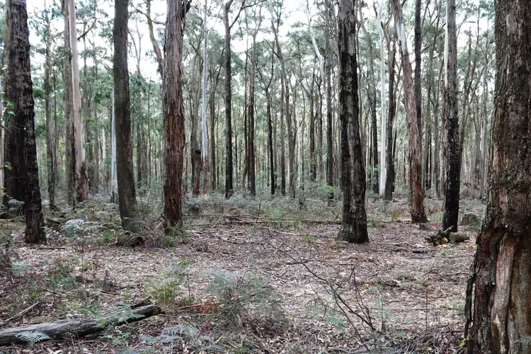 Third view of Homely land listing, Lot 1 Keyes Road, Woodend VIC 3442
