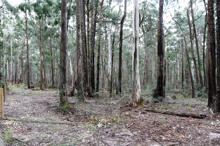 Fourth view of Homely land listing, Lot 1 Keyes Road, Woodend VIC 3442