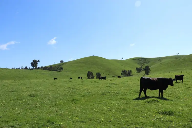Fourth view of Homely land listing, 229 Murrindindi Road, Yea VIC 3717