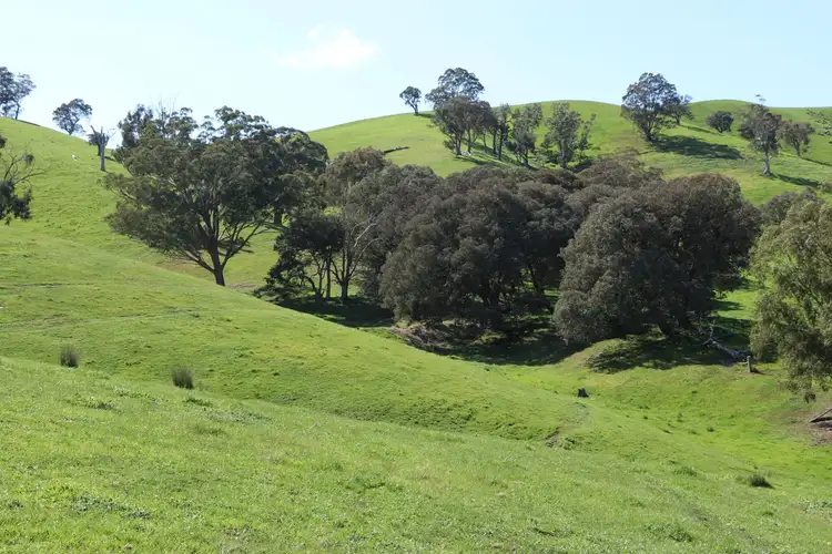 Fifth view of Homely land listing, 229 Murrindindi Road, Yea VIC 3717
