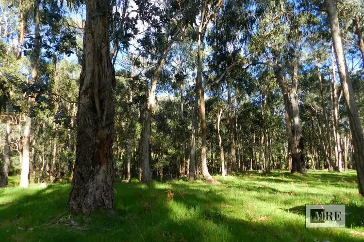 Main view of Homely land listing, - O'Dea Road South, Tatong VIC 3673