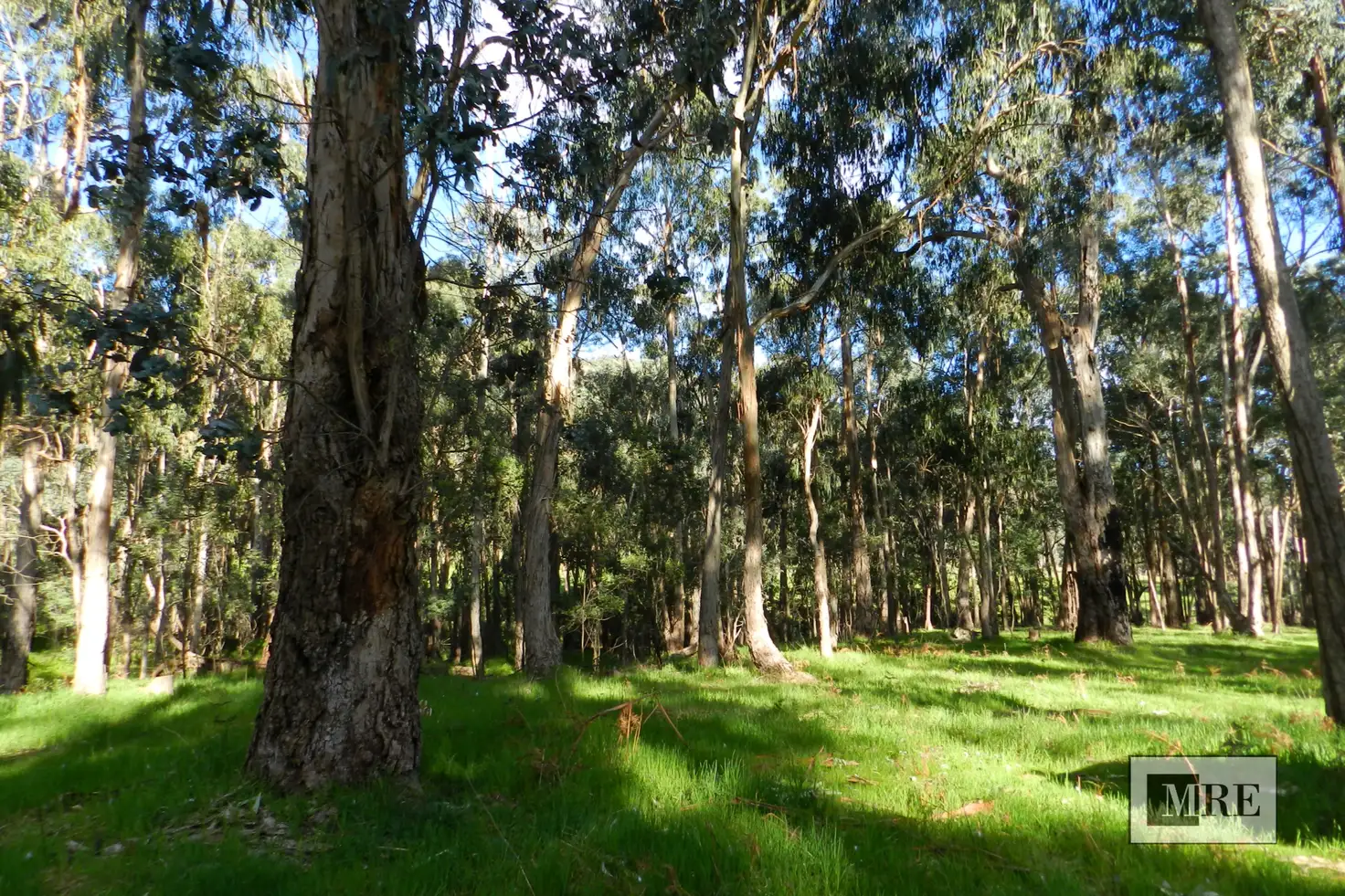 Main view of Homely land listing, - O'Dea Road South, Tatong VIC 3673
