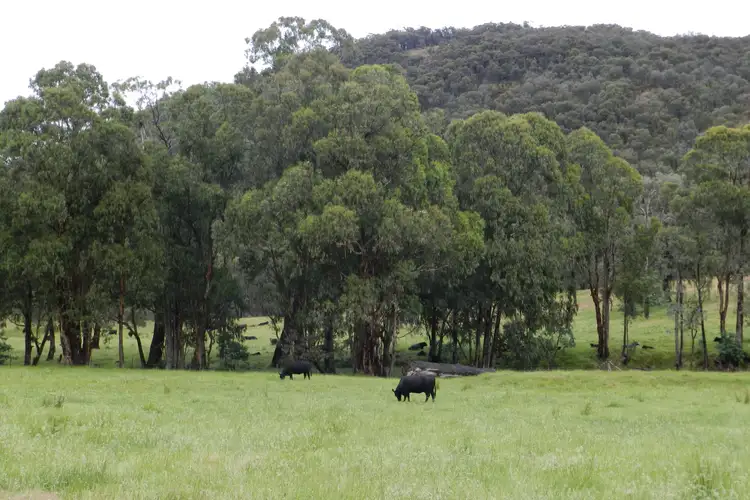 Second view of Homely land listing, - O'Dea Road South, Tatong VIC 3673
