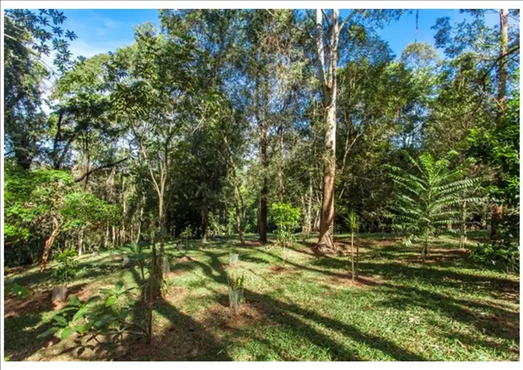Fourth view of Homely rural property listing, 186 Repentance Creek Road, Federal-Goonengerry, Mullumbimby NSW 2482