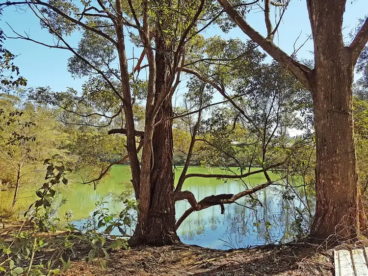 Sixth view of Homely rural property listing, Address available on request