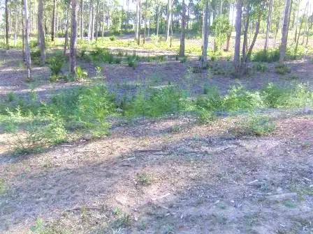 Second view of Homely land listing, Address available on request