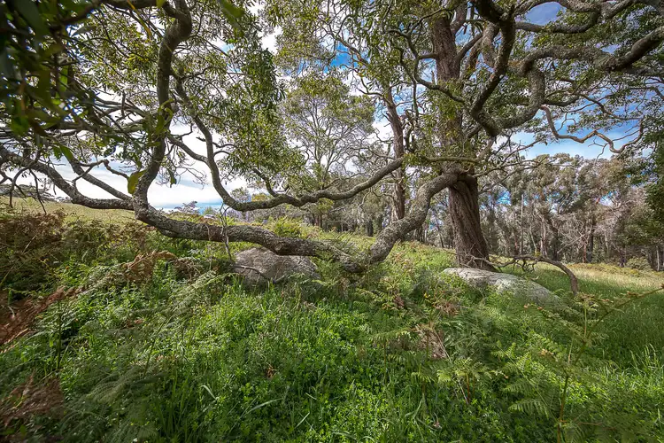 Third view of Homely land listing, 58 Westcott Lane, Benloch VIC 3435