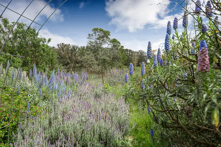 Fifth view of Homely land listing, 58 Westcott Lane, Benloch VIC 3435