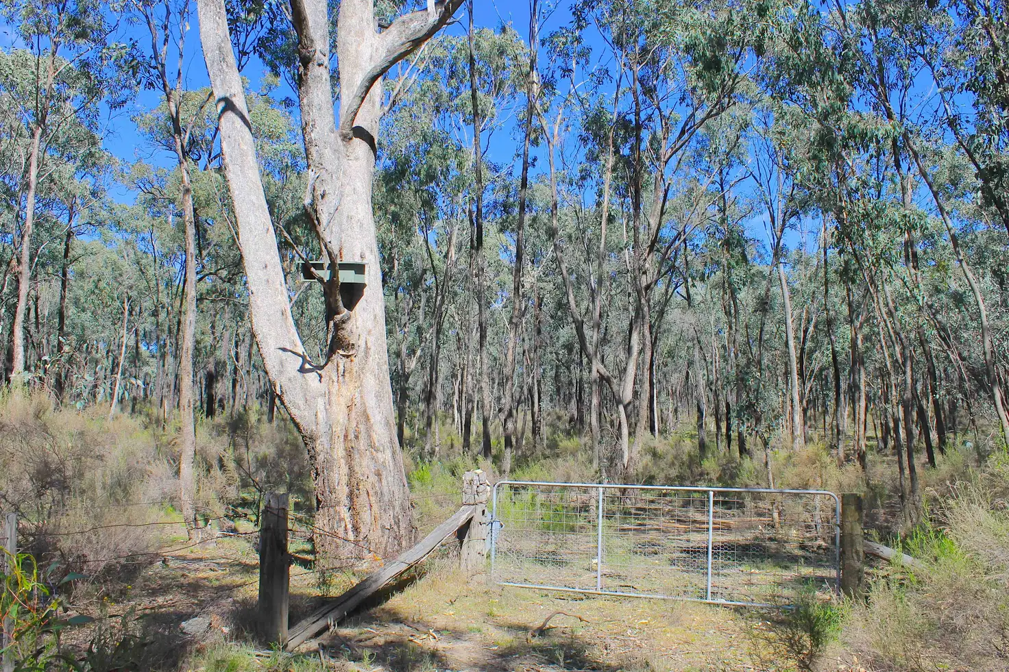 Main view of Homely land listing, LOT 1 Curtis Road, Axe Creek VIC 3551