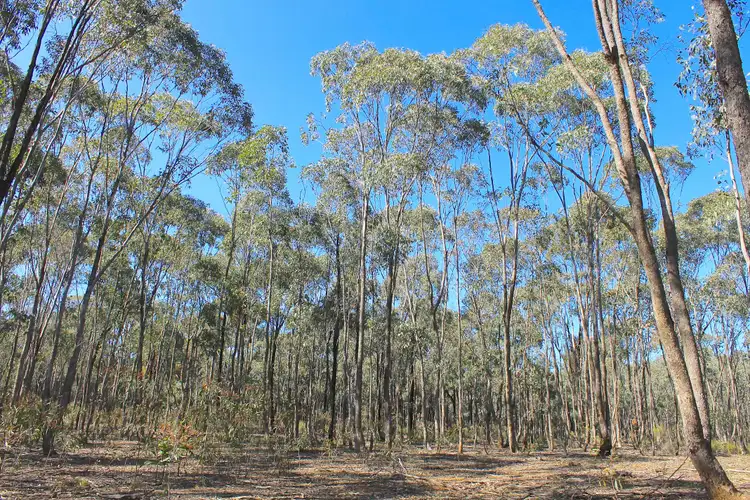 Fourth view of Homely land listing, LOT 1 Curtis Road, Axe Creek VIC 3551