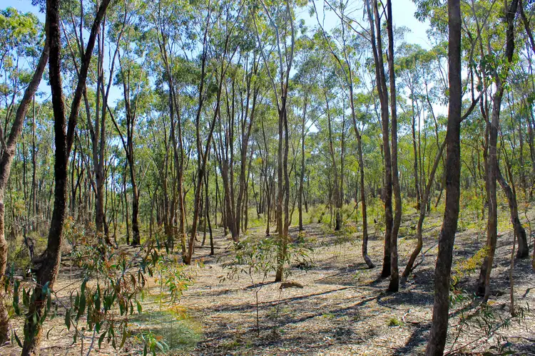 Fifth view of Homely land listing, LOT 1 Curtis Road, Axe Creek VIC 3551