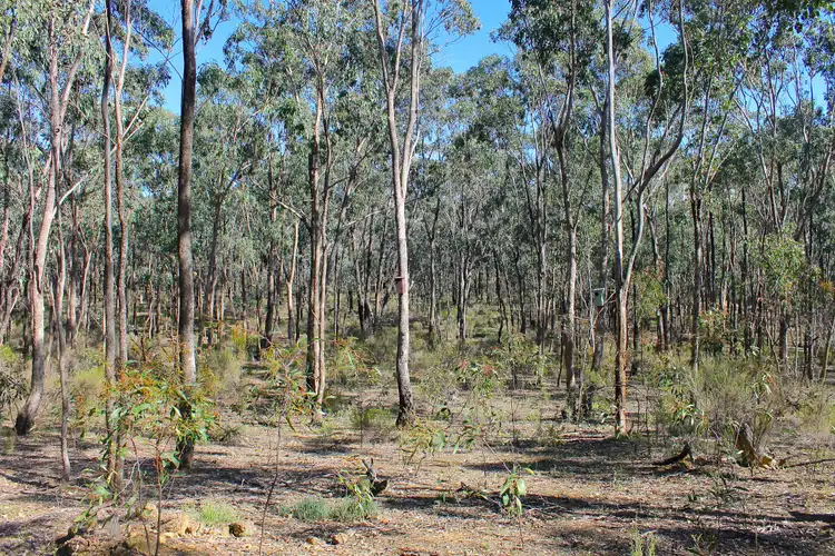 Sixth view of Homely land listing, LOT 1 Curtis Road, Axe Creek VIC 3551