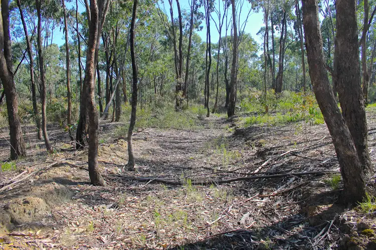 Seventh view of Homely land listing, LOT 1 Curtis Road, Axe Creek VIC 3551