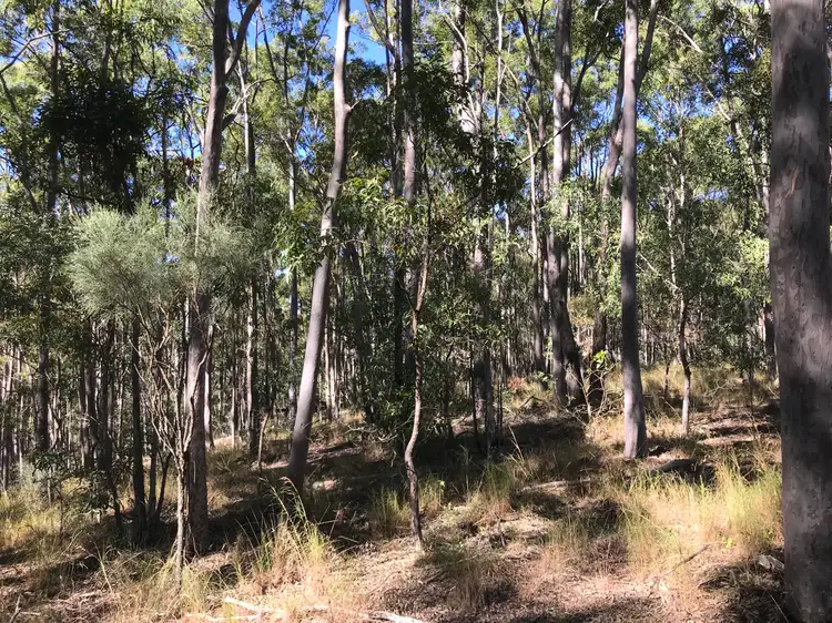Second view of Homely land listing, LOT 2 Antimony Road, Neerdie QLD 4570