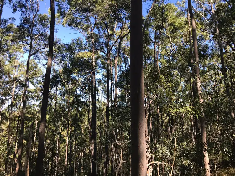 Sixth view of Homely land listing, LOT 2 Antimony Road, Neerdie QLD 4570