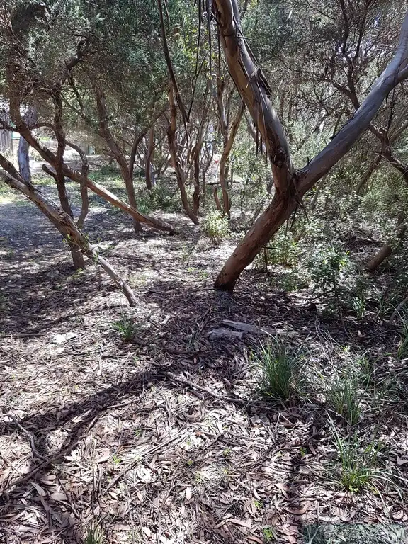 Fourth view of Homely land listing, LOT 40 Dolphin Crescent, Vivonne Bay SA 5223