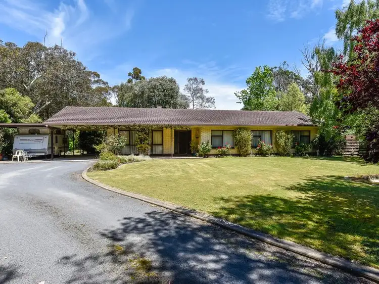 Main view of Homely house listing, 167 Williams Road, Millicent SA 5280