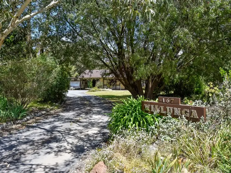 Second view of Homely house listing, 167 Williams Road, Millicent SA 5280