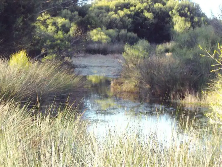 Third view of Homely rural property listing, 3351 Princes Highway, Meningie SA 5264