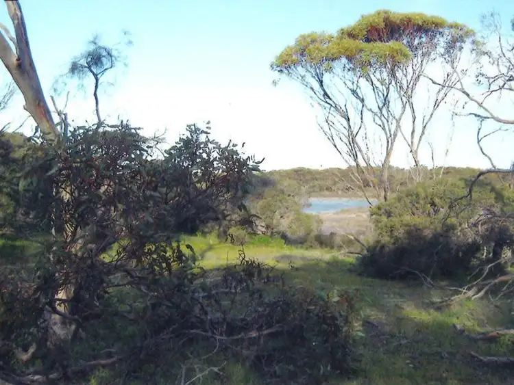 Sixth view of Homely rural property listing, 3351 Princes Highway, Meningie SA 5264