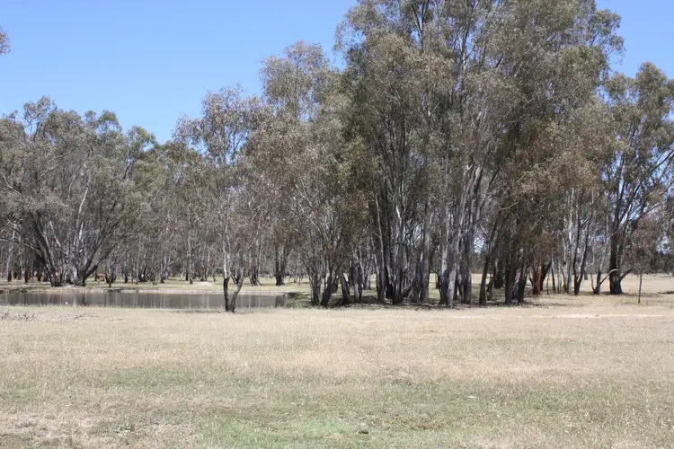 Third view of Homely rural property listing, 213 Baddaginnie-Benalla Road, Benalla VIC 3672