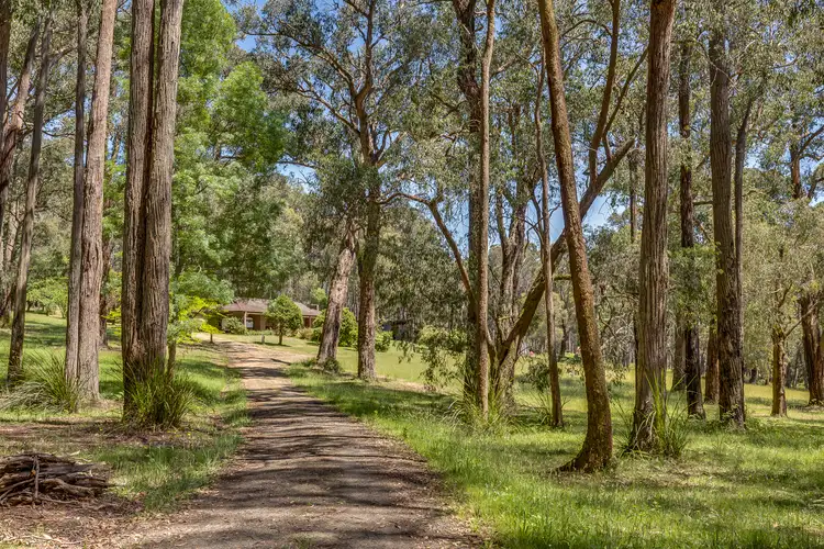 Fourth view of Homely rural property listing, 2290 Gembrook-Launching Place Road, Gembrook VIC 3783