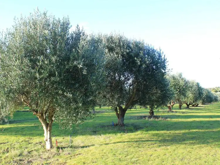 Fifth view of Homely rural property listing, Lot 2 Princes Highway, Narrawong VIC 3285