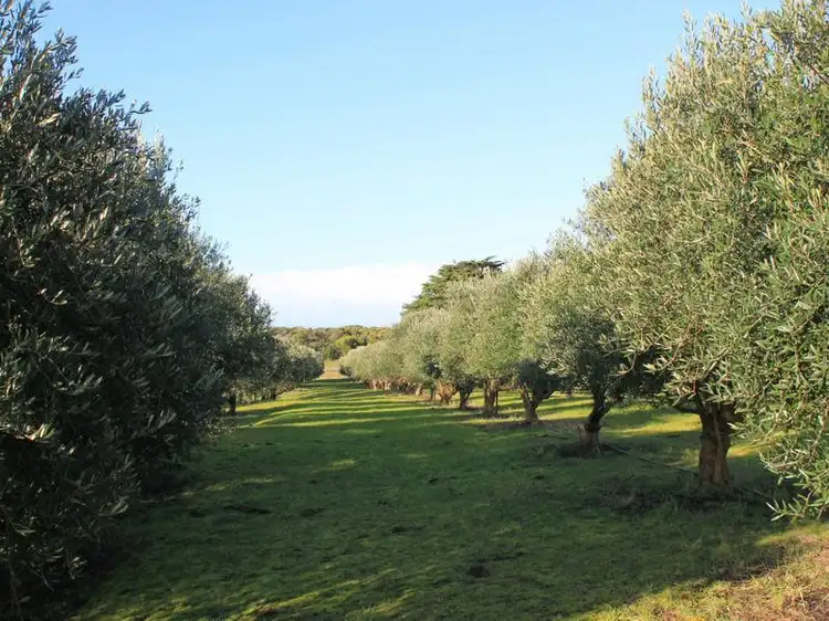 Seventh view of Homely rural property listing, Lot 2 Princes Highway, Narrawong VIC 3285