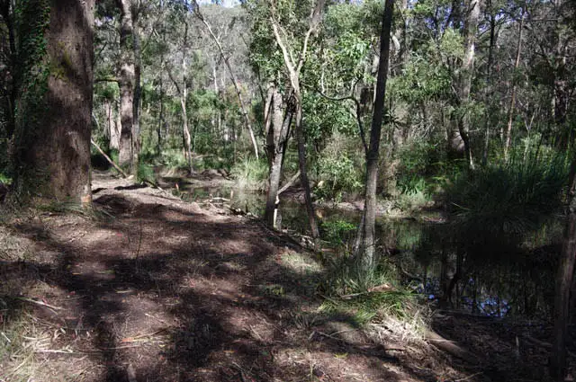 Main view of Homely land listing, 12 Golden Point Road, Trentham VIC 3458