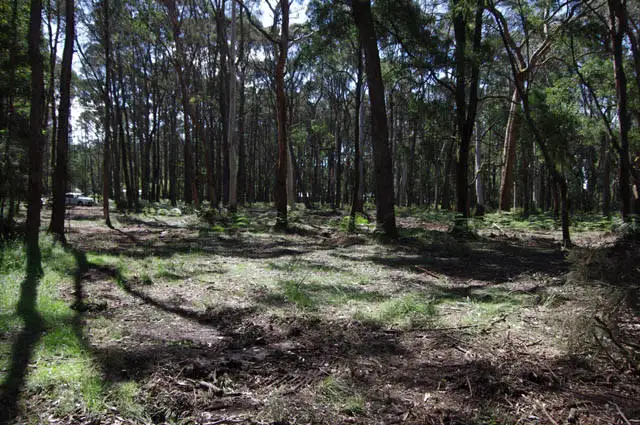 Second view of Homely land listing, 12 Golden Point Road, Trentham VIC 3458
