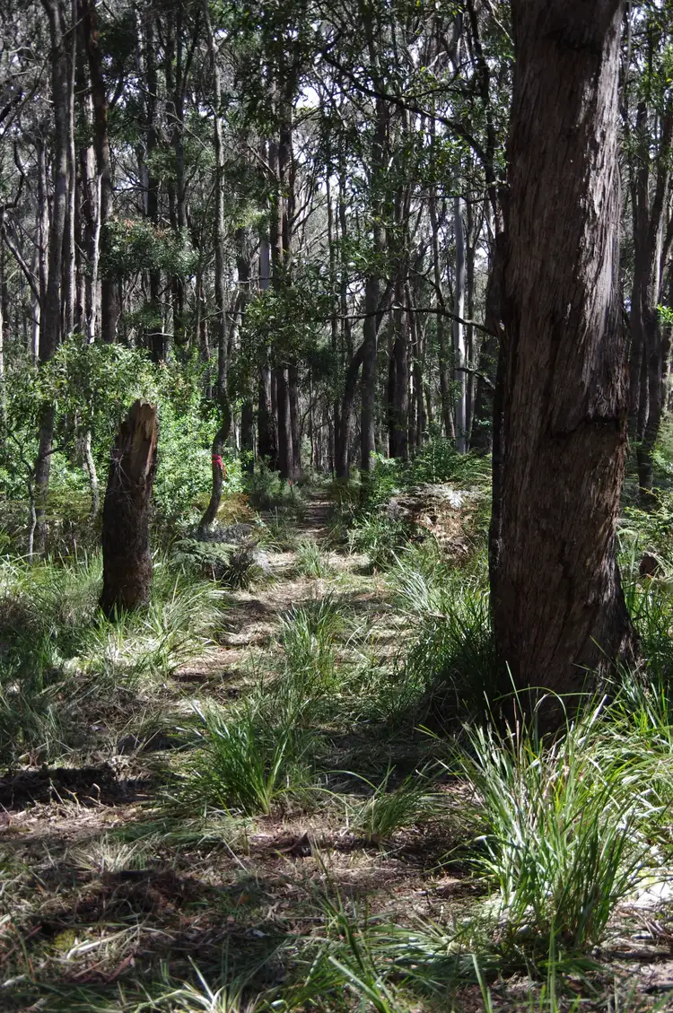 Third view of Homely land listing, 12 Golden Point Road, Trentham VIC 3458