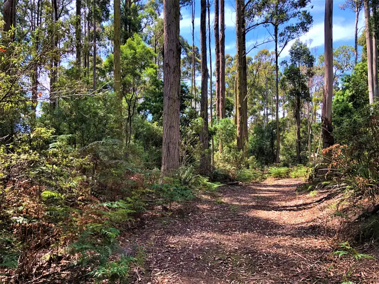 Main view of Homely land listing, Lot 2 Back Cam Road, Somerset TAS 7322