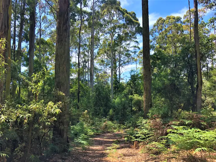 Second view of Homely land listing, Lot 2 Back Cam Road, Somerset TAS 7322
