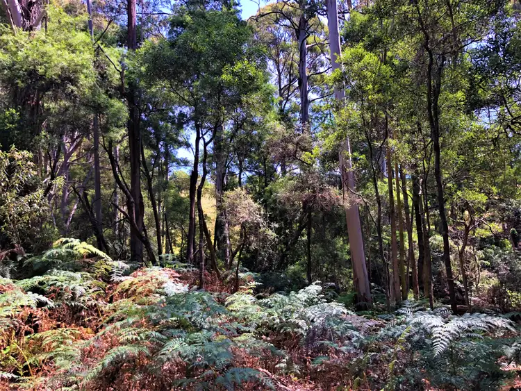 Fourth view of Homely land listing, Lot 2 Back Cam Road, Somerset TAS 7322
