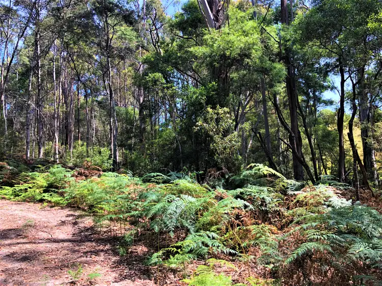 Fifth view of Homely land listing, Lot 2 Back Cam Road, Somerset TAS 7322