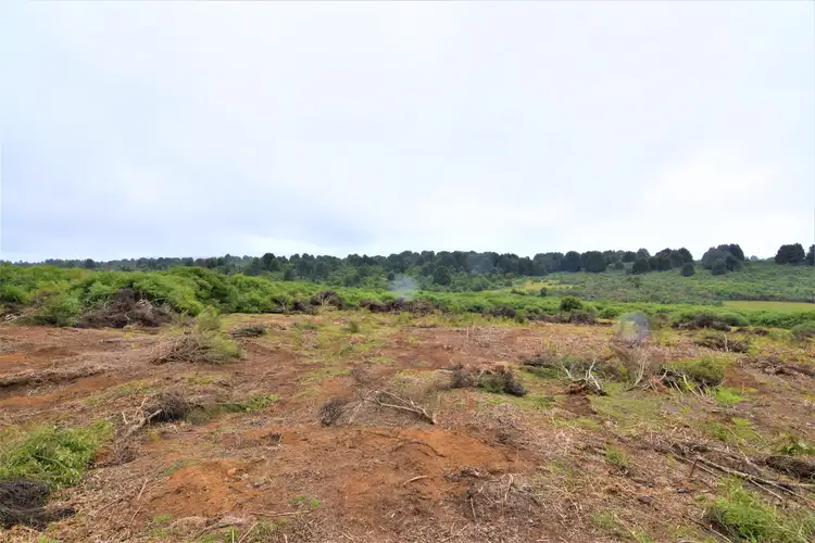 Fifth view of Homely land listing, 45 William Street, Waratah TAS 7321