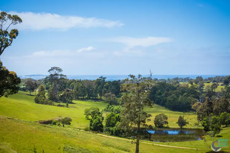 Second view of Homely land listing, 81 Wonga Road, Narooma NSW 2546