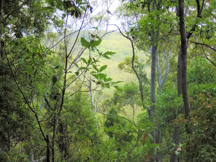 Fourth view of Homely land listing, 187 Burtons Road, Bridges QLD 4561