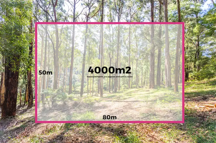 16 Lisheen Road, Cockatoo VIC 3781