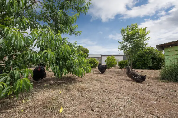 Fifth view of Homely house listing, 14 Chisholm Drive, Lancefield VIC 3435