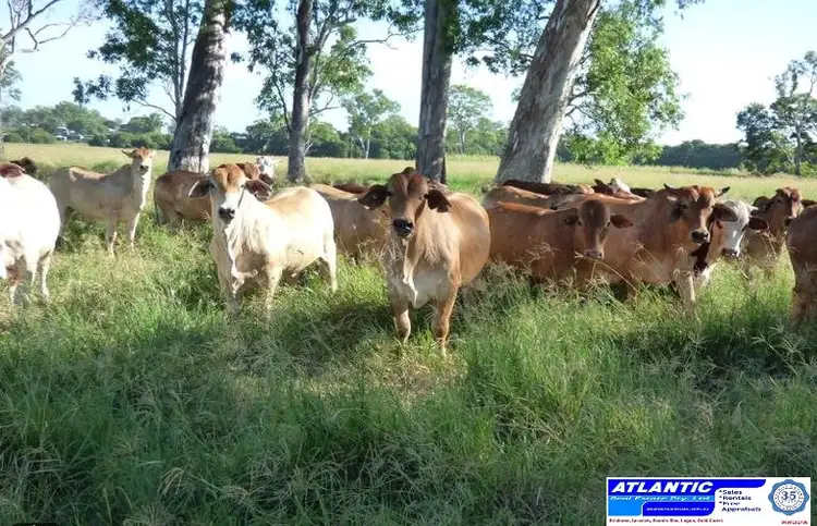 Fifth view of Homely rural property listing, Address available on request