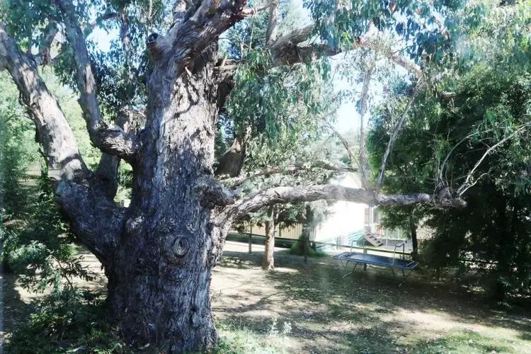 Fourth view of Homely house listing, 15 Clarendon Street, Blackwood VIC 3458