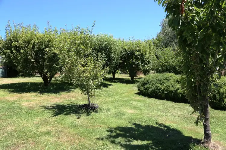 Fifth view of Homely house listing, 9 Ainslie Road, Mengha TAS 7330